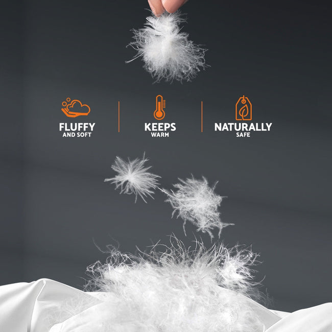 NNEDSZ  Bedding Queen Size Goose Down Quilt