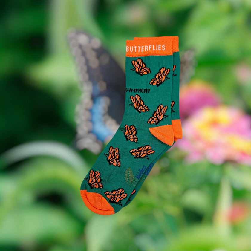 CAREFREE BUTTERFLIES ORGANIC COTTON KIDS SOCKS-1