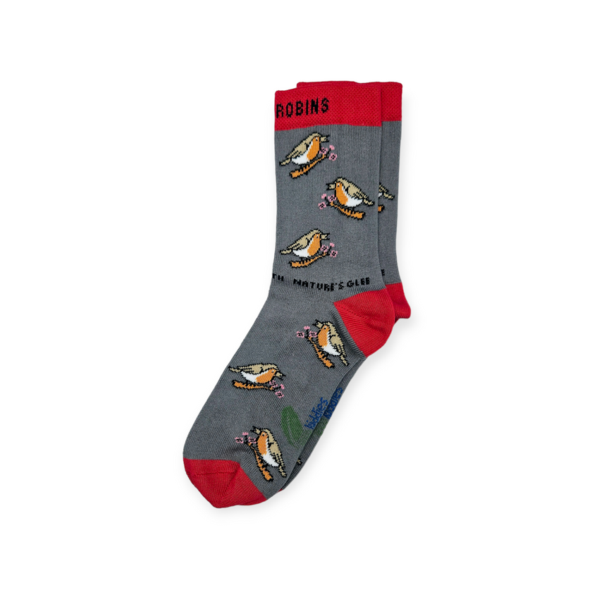 CHIRPY ROBIN ORGANIC COTTON KIDS SOCKS-2