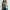 Ladies Celeste Bamboo Cardigan