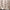 Luxury Heavy Linen Curtains | Custom Size & Lining Options | Pinch Pleat, French Pleat & Triple Pleat Styles | 280gsm Thick Linen | Neutral Printed | Single or Pair