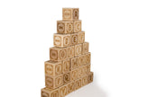 Wooden Alphabet Block