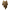 Bamboo Poncho