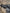 Boss Big Bamboo Sunglasses | Large Black Frame, Polarized UV400 Floating Shades