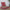Large Floor Cushion (20x20