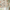 Pure Linen Kids Roman Blind – Traffic Cars Pattern | Made-to-Measure Corded | Blackout & Light-Filtering | Nursery & Children’s Room