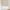 Custom Dinosaur Sketch Linen Roman Blinds for Kids & Nursery – Made-to-Measure | Blackout or Light-Filtering
