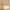 Woodland Animals Pure Linen Roman Blind for Kids Room or Nursery – Custom Size – Light Filtering or Blackout Liner – Handmade