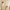 Soft Nautical Print Pure Linen Curtain – Kids Room | Blackout or Cotton Lined | Custom Sizes