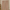 Dinosaur Print Linen Curtains for Kids Room – Custom Sizes – Light Filtering or 100% Blackout Lining Options