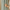 Luxury Cotton-Linen Jacquard Leaf-Pattern Curtains – Custom Sizes, Blackout or Light-Filtering