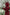 Kid's Trench Coat - Burgundy Red - Cotton-1
