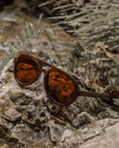 Dragonfly | Polarized Bamboo Sunglasses