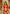 Passion Red - Lace Organic Cotton & Silk Bralette-1
