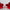 Tinted Lip Balm Duo (2-Pack)-4