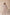Blush Beige Top & Bottom Cotton Co-ord Set with Cargo Pockets-1