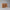 Bamboo Cotton Buds 200-Pack-1