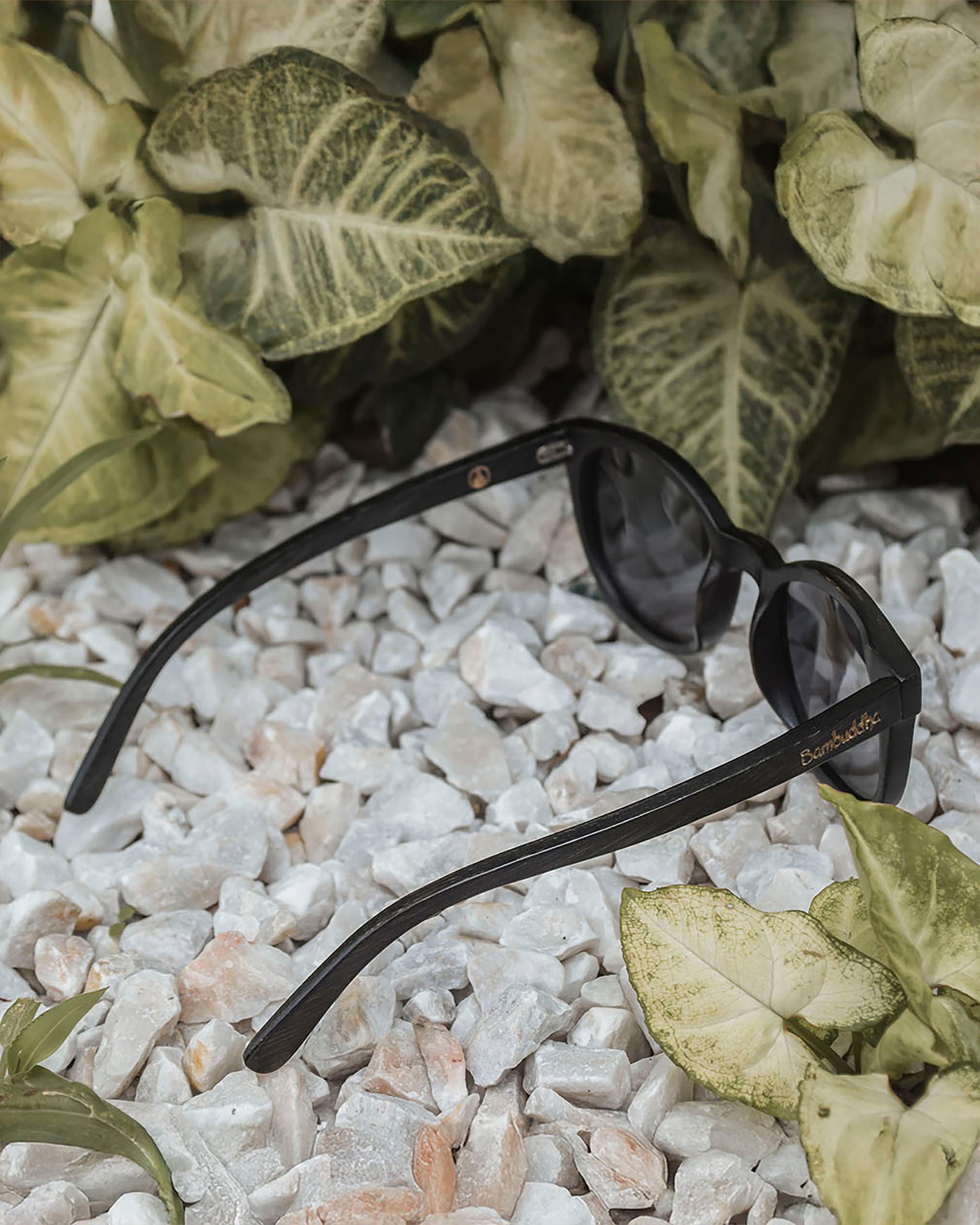 Panther | Polarized Bamboo Sunglasses