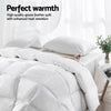NNEDSZ Bedding Queen Size Goose Down Quilt