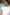 Ralyn – Bamboo - SUNGLASSES