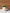 Terracotta Pot - Horned Owl-4