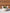 Terracotta Pot - Spotted Dove-3