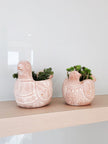 Terracotta Pot - Spotted Dove-4