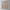 Bamboo Toothbrush Bundle (5-Pack)-4