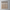 Bamboo Toothbrush Bundle (5-Pack)-5