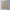 Bamboo Toothbrush Bundle (5-Pack)-6