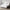 NNEDSZ Giselle Bedding Mattress Topper Pillowtop - King