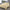 NNEDSZ Comfort Bamboo Blended Quilt Cover Set 1000TC Ultra Soft Luxury Bedding Double Ivory
