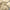 NNEDSZ Comfort Bamboo Blended Quilt Cover Set 1000TC Ultra Soft Luxury Bedding Double Ivory