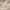NNEDSZ Bedding House Summer Sand Seersucker Cotton Quilt Cover Set Queen