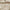 NNEDSZ Bedding House Summer Sand Seersucker Cotton Quilt Cover Set Queen