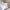 NNEDSZ Bedding House Summer White Seersucker Cotton Quilt Cover Set Queen