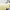NNEDSZ Vintage Design Homewares 100% Linen Butter Sheet Set Double-0