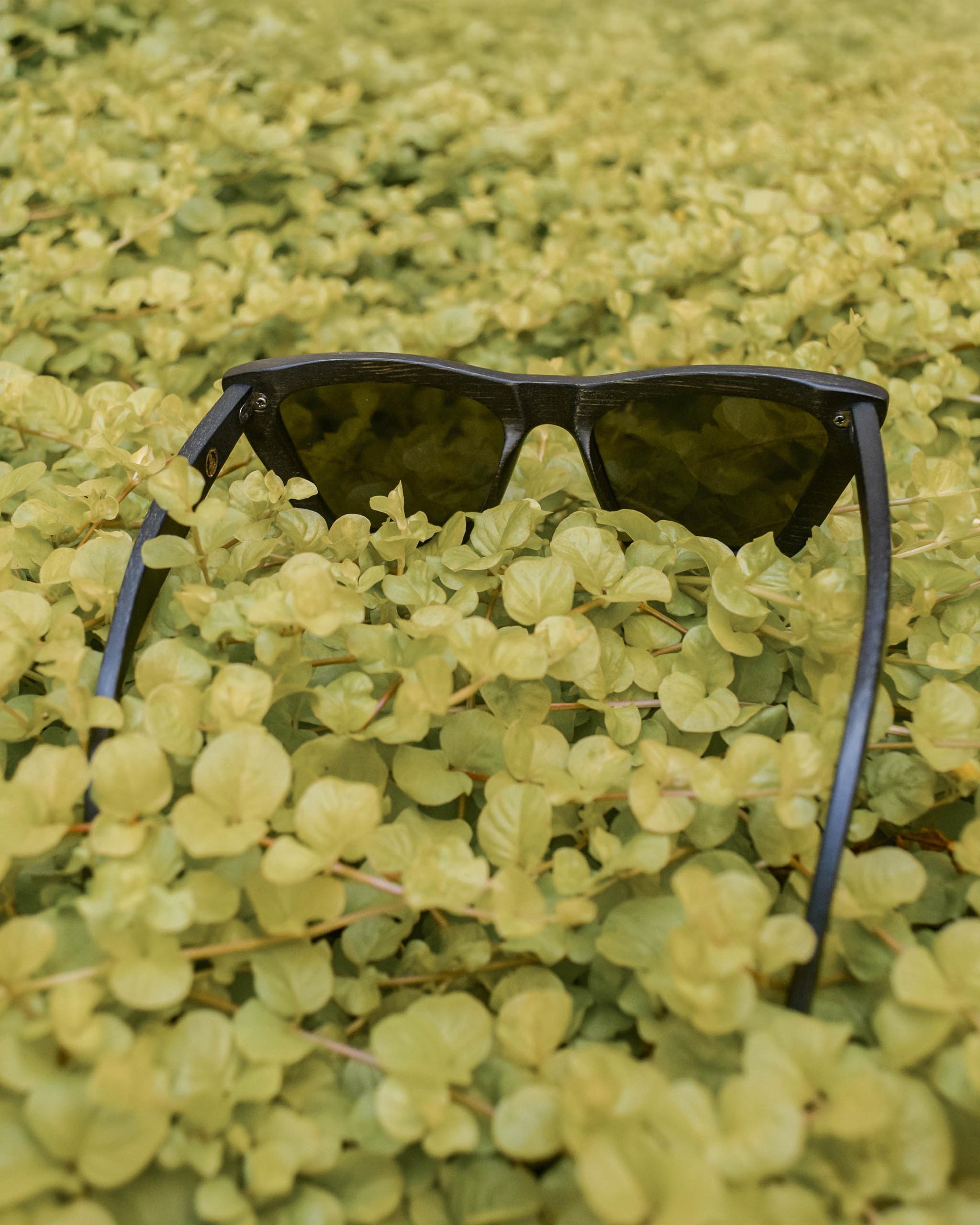 Vintagío |Retro Black Bamboo Sunglasses | Polarized UV400 Floating Eco-Friendly Shades