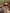 Woodsy | Polarized Bamboo Sunglasses