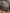 Woodsy | Polarized Bamboo Sunglasses