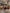 Woodsy | Polarized Bamboo Sunglasses