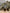 Zen Masters | Polarized Bamboo Sunglasses
