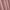 Dusty Pink Organic Cotton Waffle Shower Curtain | Mold Resistant | Quick Dry