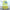 Lemon Table Runner | Organic Linen | Ruffled Edges | 92-305cm