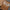 Bamboo Flatware Place Set of 4