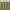 Pure Cotton Sage-Green Waffle Weave Shower Curtain – Extra-Wide & Extra-Long | Custom Sizes | Quick-Dry Bathroom Curtain