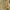 Jungle Safari Linen Nursery Curtains – Soft, Custom Sizes – Light Filtering or Blackout Lining