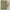 Pure Cotton Sage-Green Waffle Weave Shower Curtain – Extra-Wide & Extra-Long | Custom Sizes | Quick-Dry Bathroom Curtain