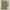 Pure Cotton Sage-Green Waffle Weave Shower Curtain – Extra-Wide & Extra-Long | Custom Sizes | Quick-Dry Bathroom Curtain