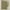 Pure Cotton Sage-Green Waffle Weave Shower Curtain – Extra-Wide & Extra-Long | Custom Sizes | Quick-Dry Bathroom Curtain